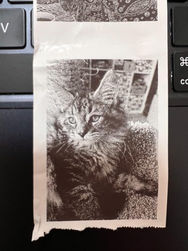 Portable Mini Printer™ photo review