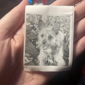 Portable Mini Printer™ photo review